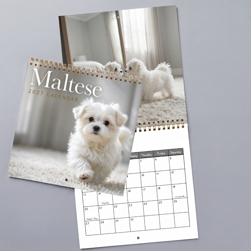 TEMU Calendrier Suspendu Illustration 2027, Photos de Chiot Maltais, Large et Section des Dates, Trou de Suspension Facile, Cadeau de Fête et