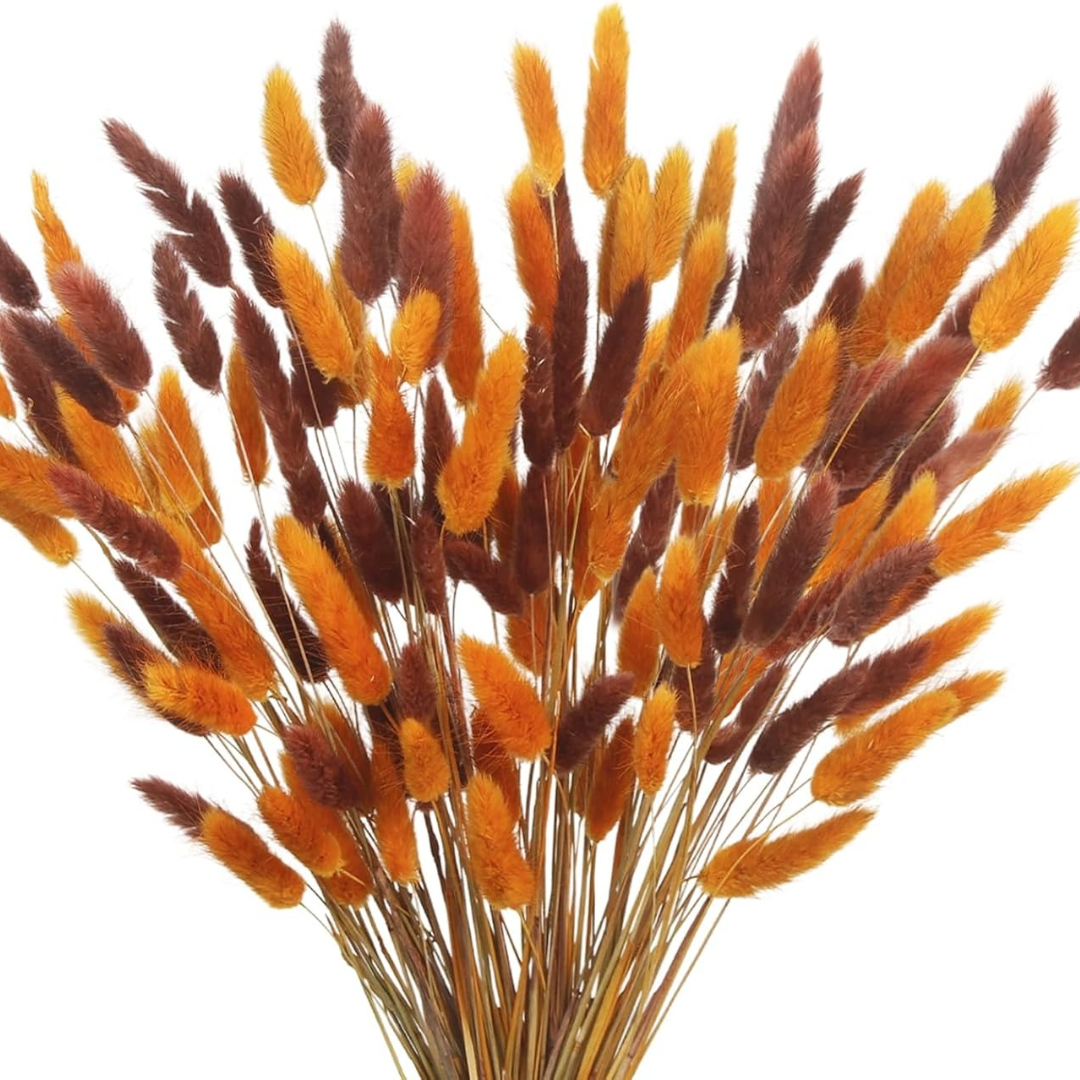 Image of 101pcs Dried Bunny Tails Flowers | Lagurus Tail Dried Flowers Pampas Grass Brown And Orange 17" Natural Dried Floral Arrangement For Boho Decor, Home, Wedding, Farmhouse Table, Christmas