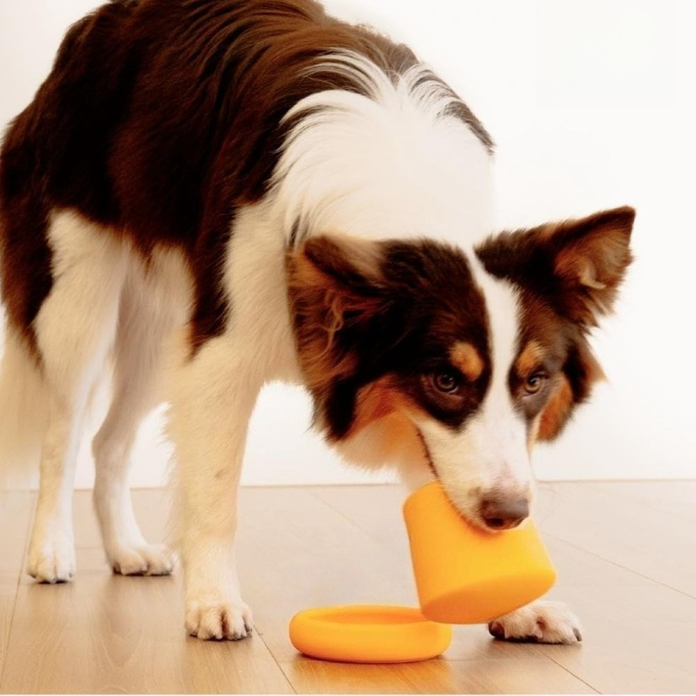 Dog Enrichment Bowl and Feeding Toy Set