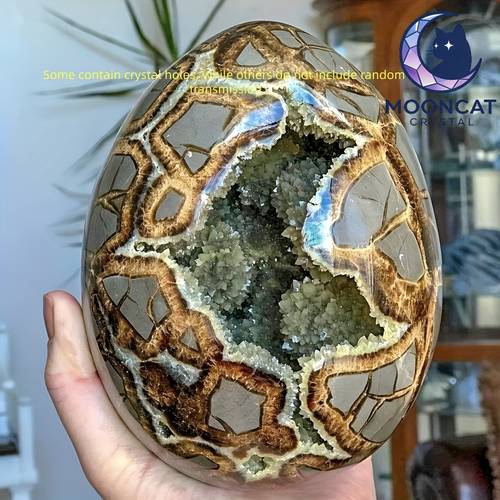 a 250 300g natural tortoise back stone agate geode dragon egg ornament natural mineral display piece suitable for home decoration and collectible gifts unique dragon egg sculpture