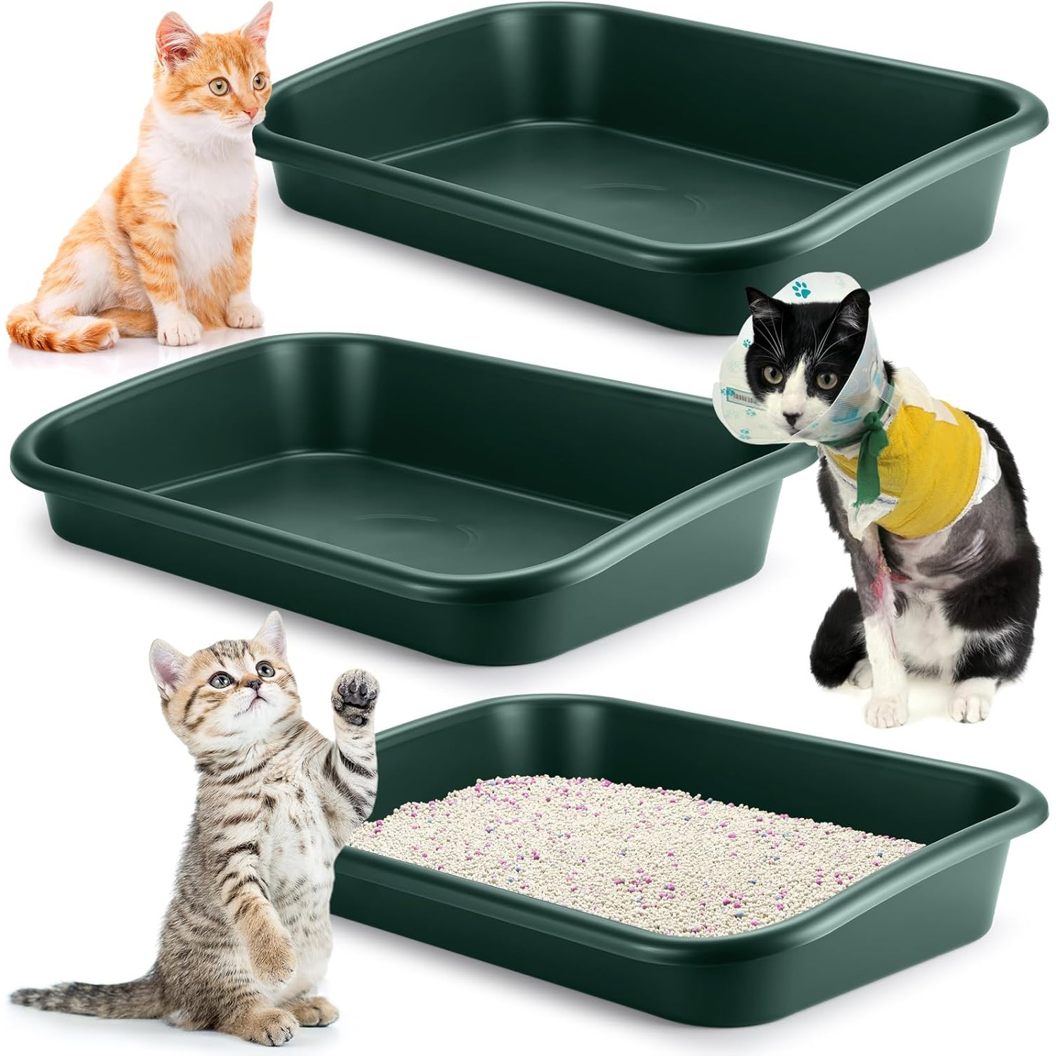 low entry litter box large pet low entry open Temu Mauritius