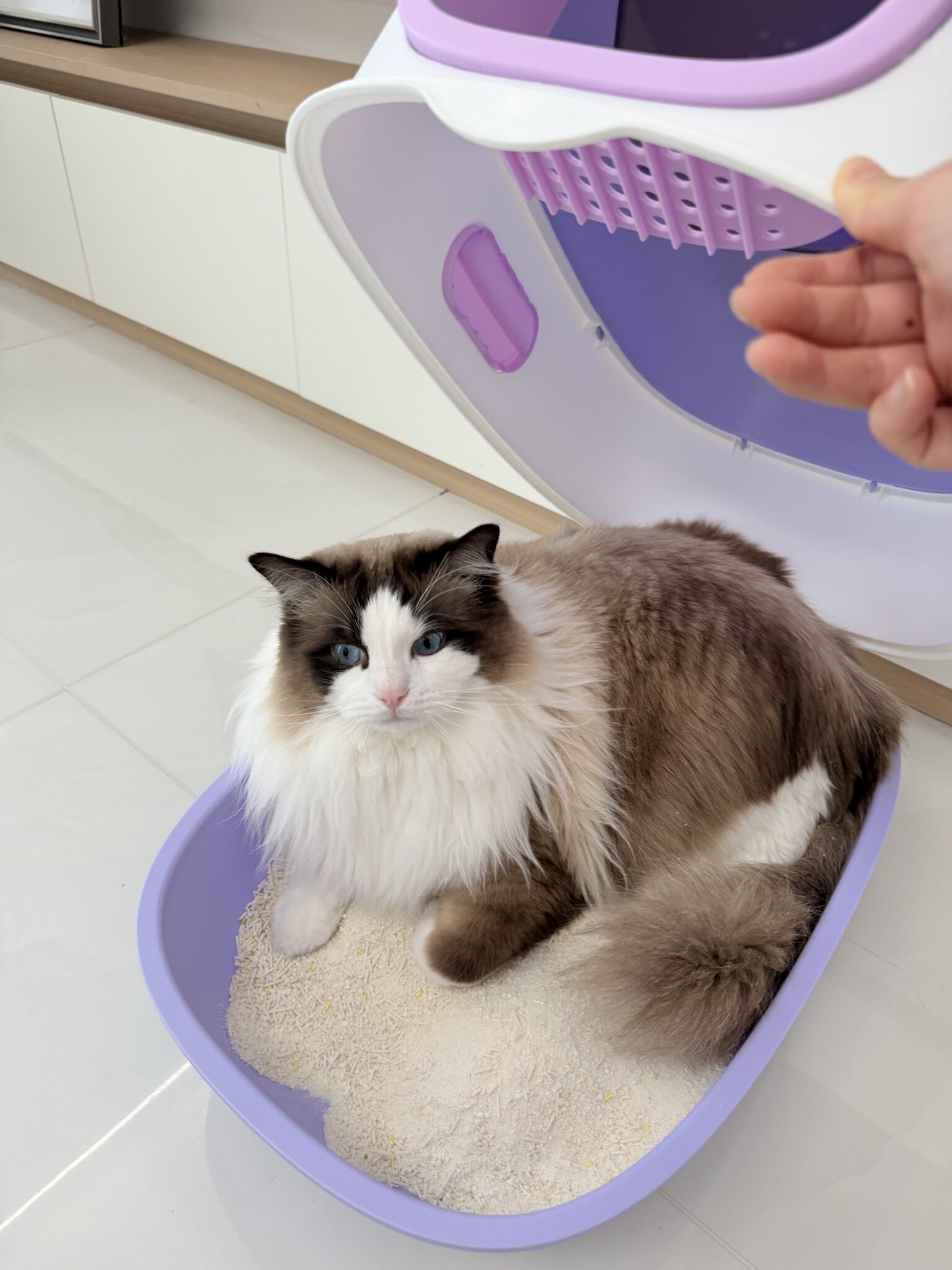 extra large luxury fully enclosed litter box, elevated   anti-leak large capacity durable cat toilet with cleaning shovel,   to litter spillage! elevated   toilet, increased capacity durable,   with cleaning shovel Product details 9