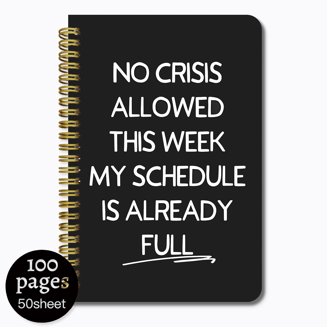 TEMU 1 Not Allowed This Week, 5.5x8.3 Inches, 100 Pages, Fun Spiral Notebook, Gift From The Boss To Women, Boss Lady Manager Leader, Colleague' Gift,