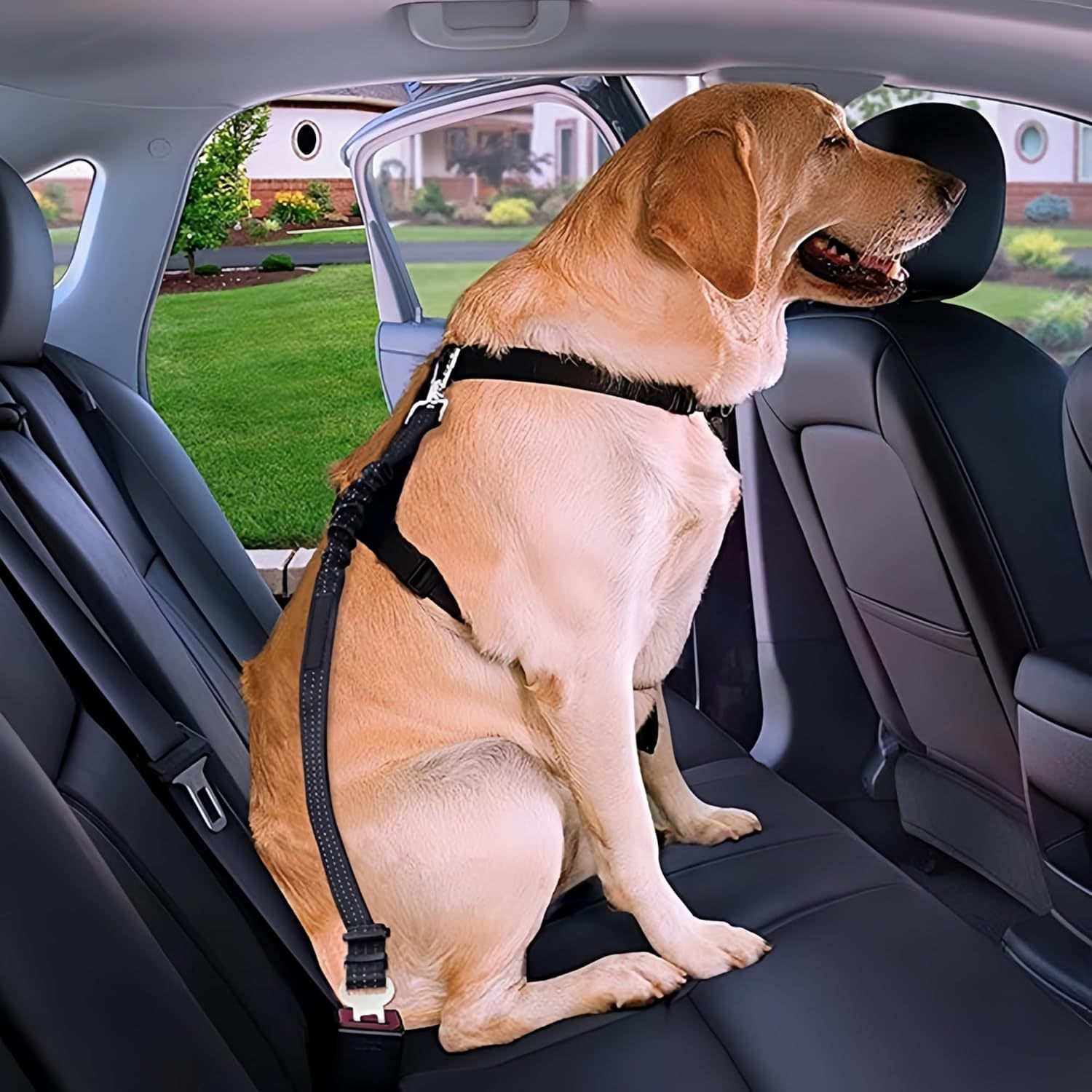 Aazon Dog Car Seat Bed At Joe Alvarez Blog