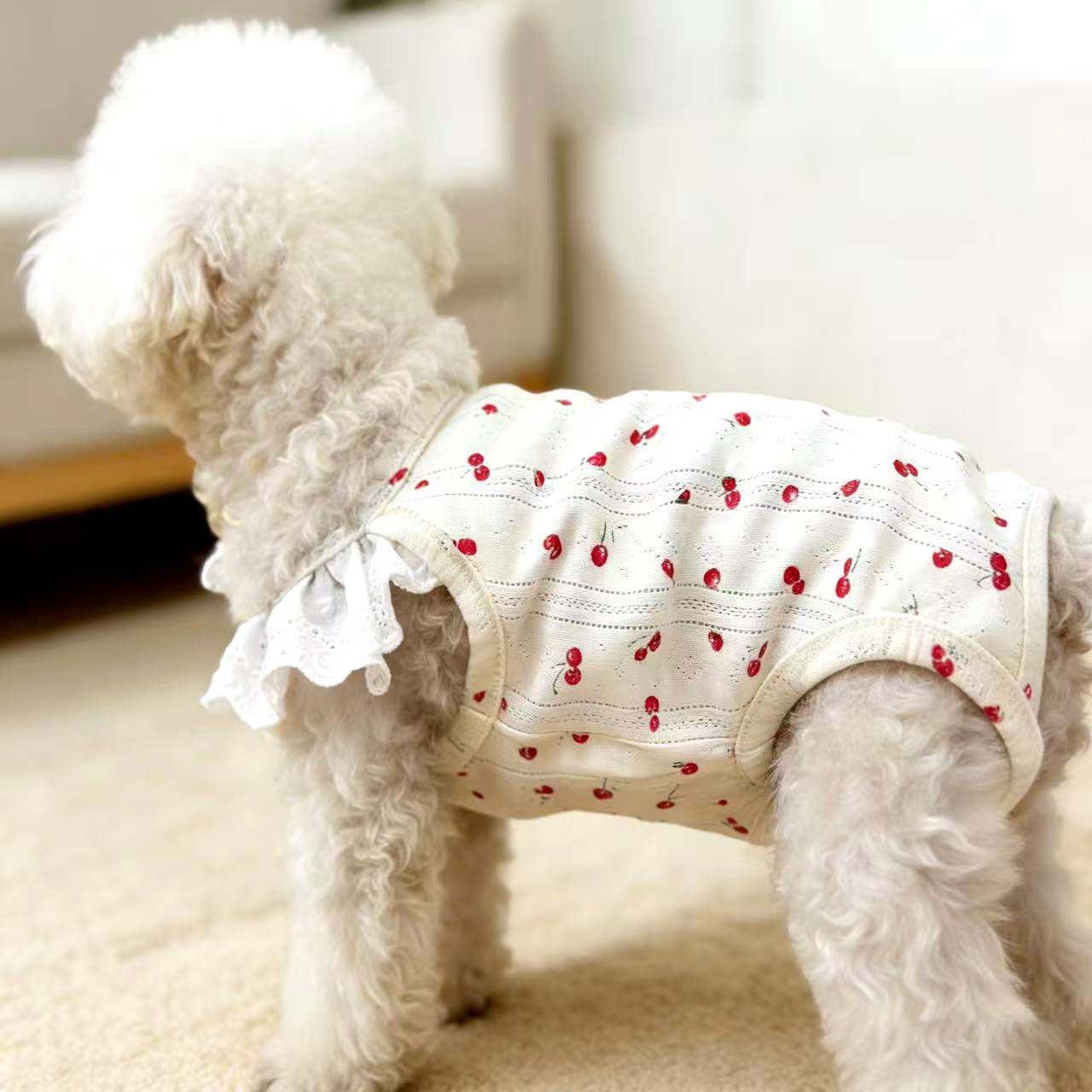 TEMU 【商品名】ペット服 夏 薄手 レース ベリータン トップス 小型犬、特にマルテネ、ヨークシャーテリアなどに最適 通気性 快適な普段着