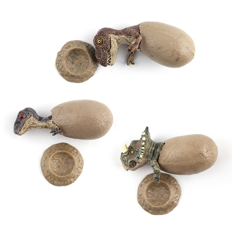 5pcs Dinosaur Egg Set with Display Base for Collectors