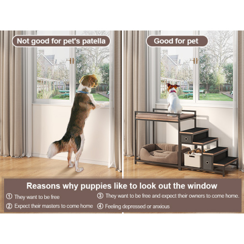 Pet Bunk Bed Image 3