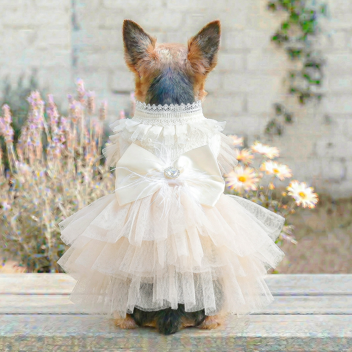 dog wedding dress sold on Temu United States