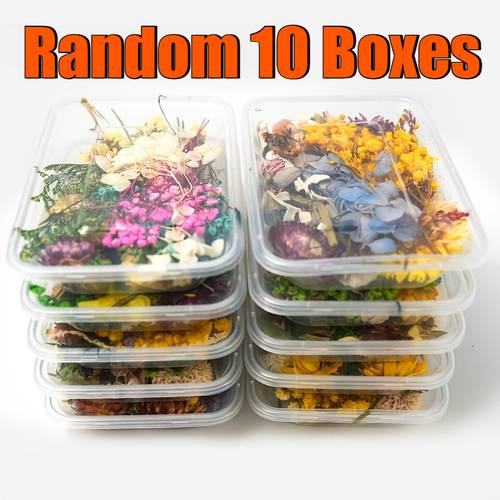 10 boxes of random colored dried plants handmade making aromatherapy candles dried flowers resin jewelry pendants crafts floral greeting cards photo frames for decorating christmas halloween gift making halloween decorations