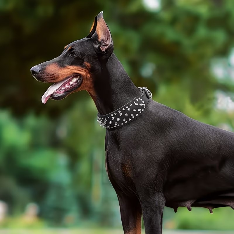 trendy punk style rivet anti bite pet collar scratch and wear resistant dog neck ring   with customizable engraved anti lost name tag accessory Product details 3