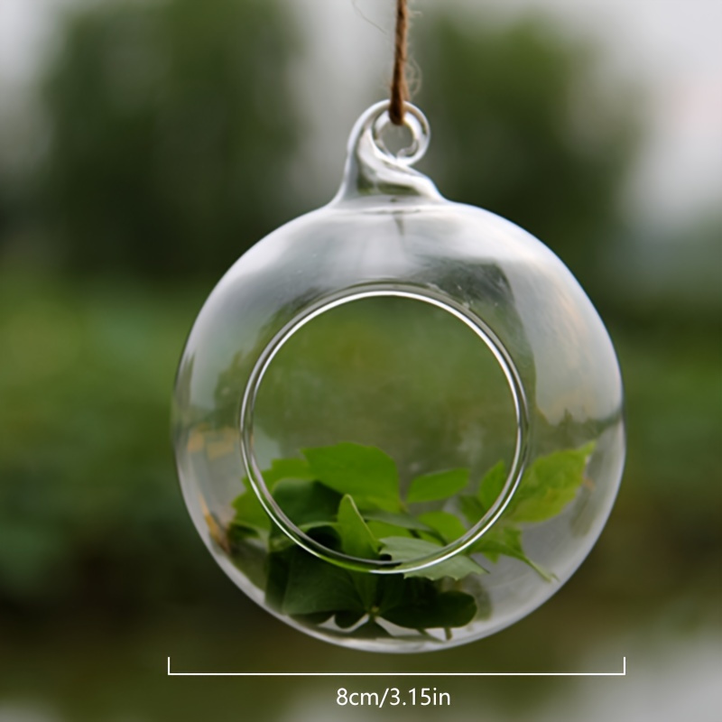 TEMU A Glass Pendant, Succulent Moss Hydroponics, Vase Decoration, , Home And Kitchen Decor, Household Hanging Ornament, Party Theme Decoration (excluding )