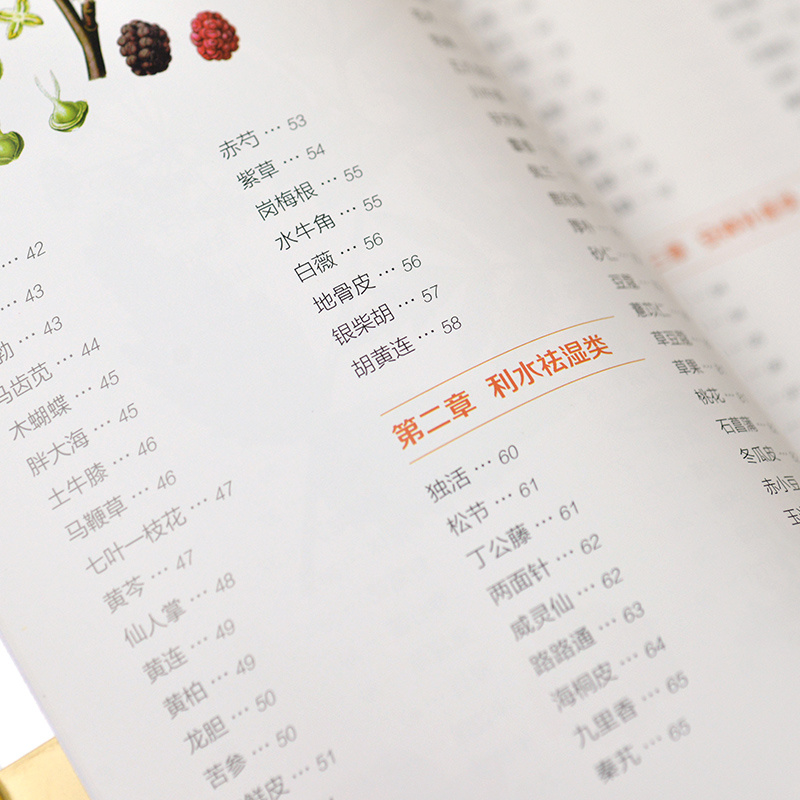 中国薬草図鑑シリーズ 新版 中国語版 - - temu Temu Japan