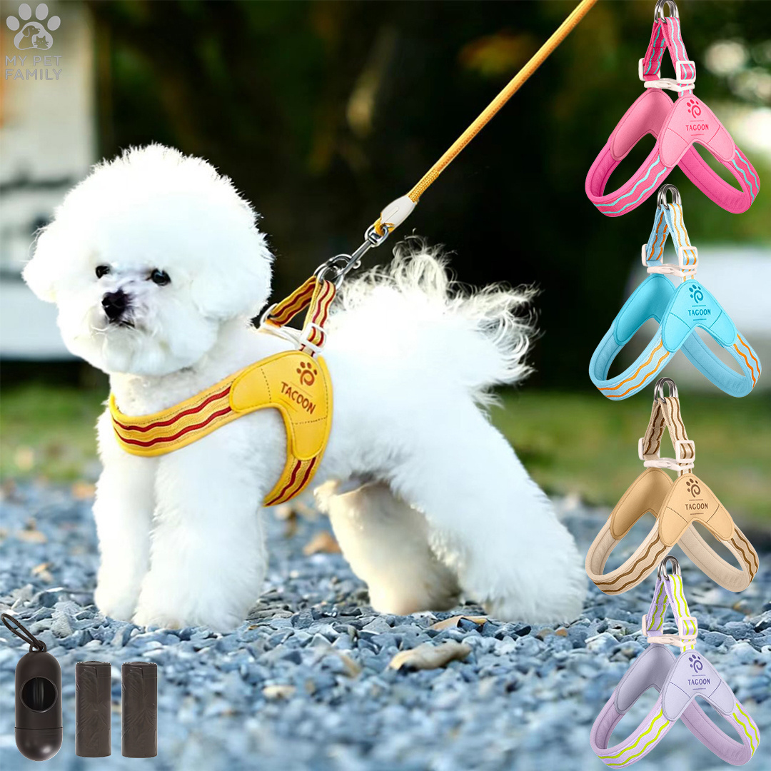 4pcs Anti-Pull Vest-Style Pet Harness Set
