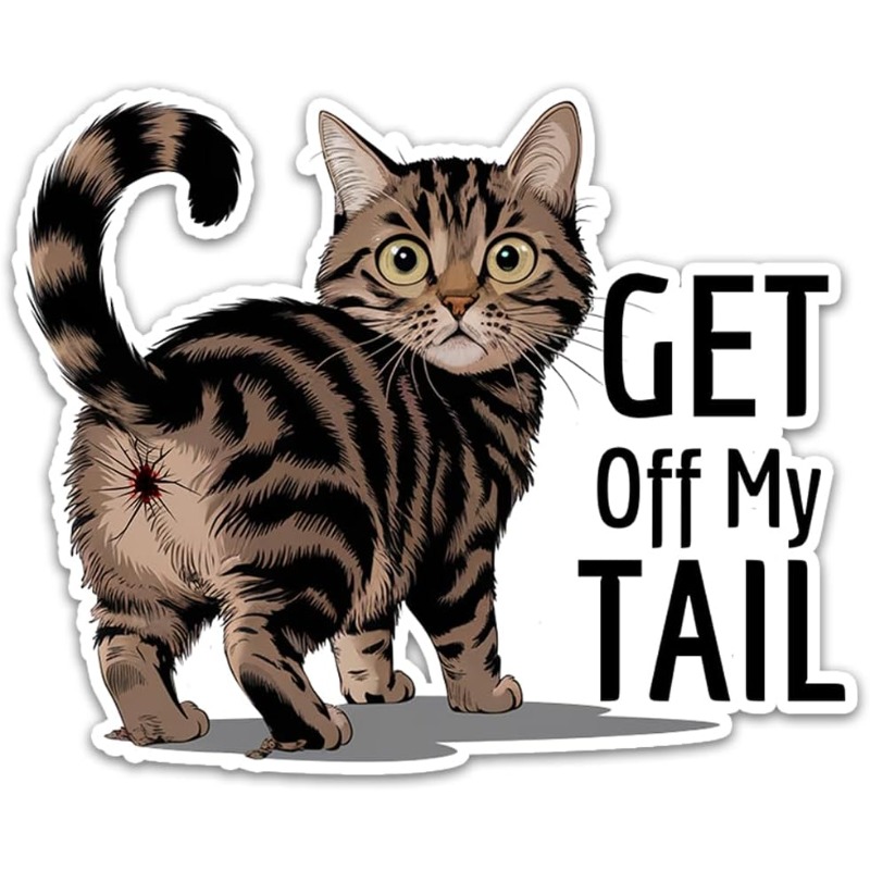 Temu – TEMU Funny Cat “” Sticker – Vinyl – For Cars, Walls, Laptops, Cellphones, Trucks, 5 Inches