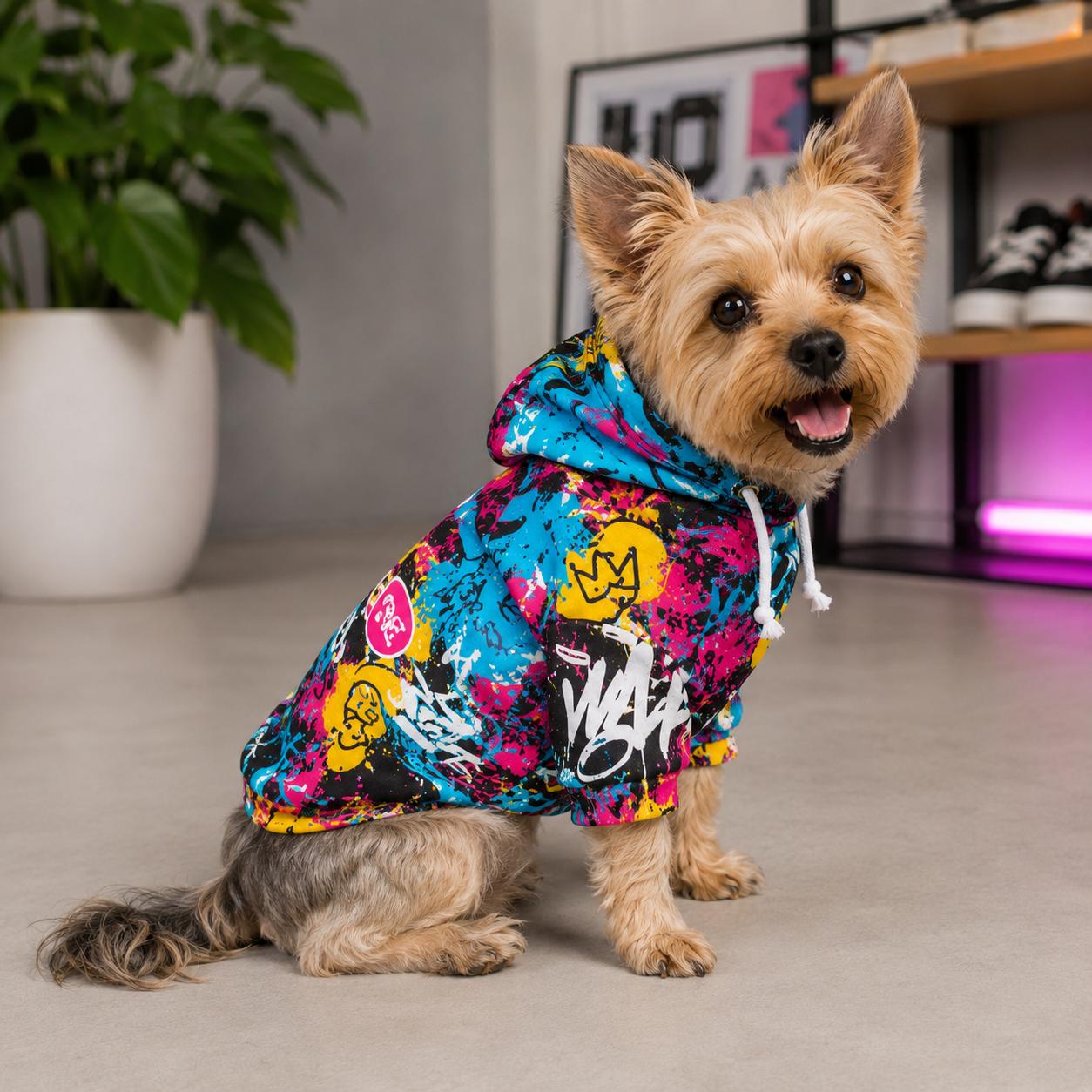 dog clothes sold on Temu United States