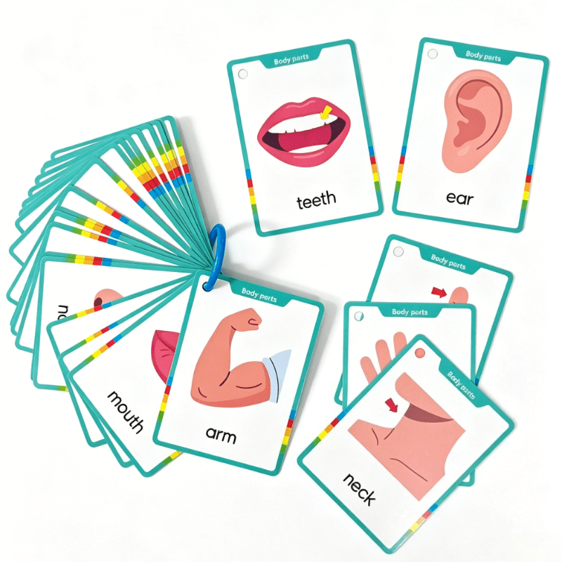 TEMU Cartes cognitives sur les parties du corps - Cartes d'apprentissage de 172 /20 cartes avec les parties du corps illustrées (yeux, nez, bouche,