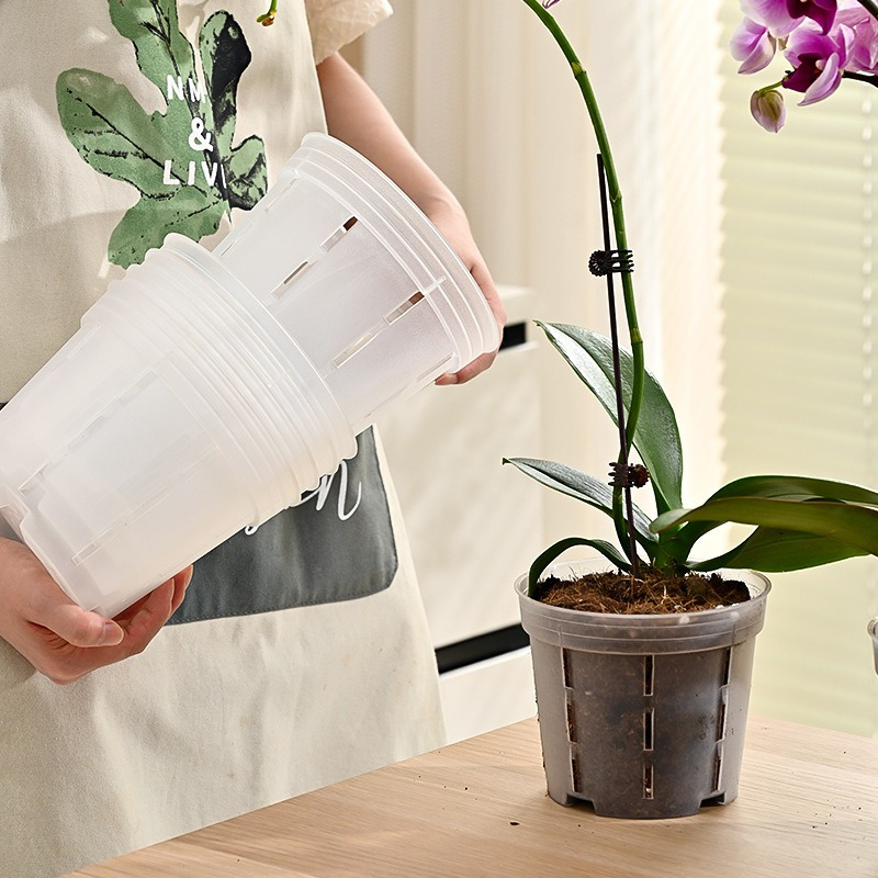 6pcs clear plastic planter orchid orchid pot holes repotting - Temu Kuwait