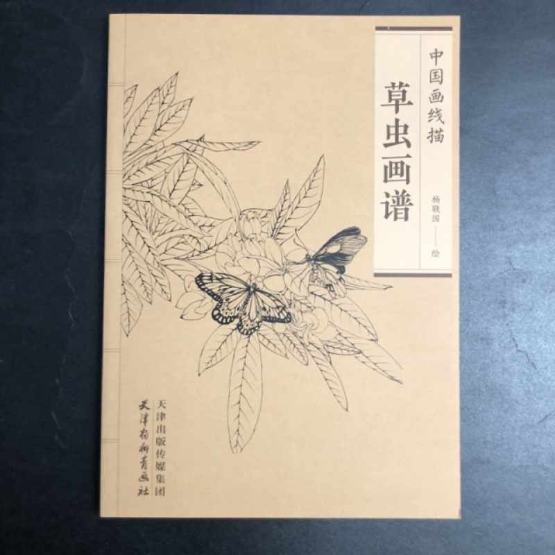 Chinese Line Drawing Grasshopper Painting Book: Beginner's Guide to Traditional Chinese Art, Sketching for Relax - DIY Coloring Book for Teens and Adults, Watercolor, Ink Wash, Oil Painting Chinese Version