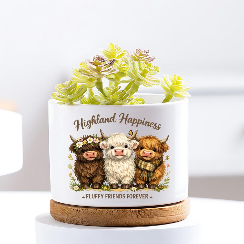 TEMU Outdoor Vase Cartoon For Highland Cows Ceramic Planter With Saucer, Cute Round Pot With Floral And Accents, Decorative Container For Succulents