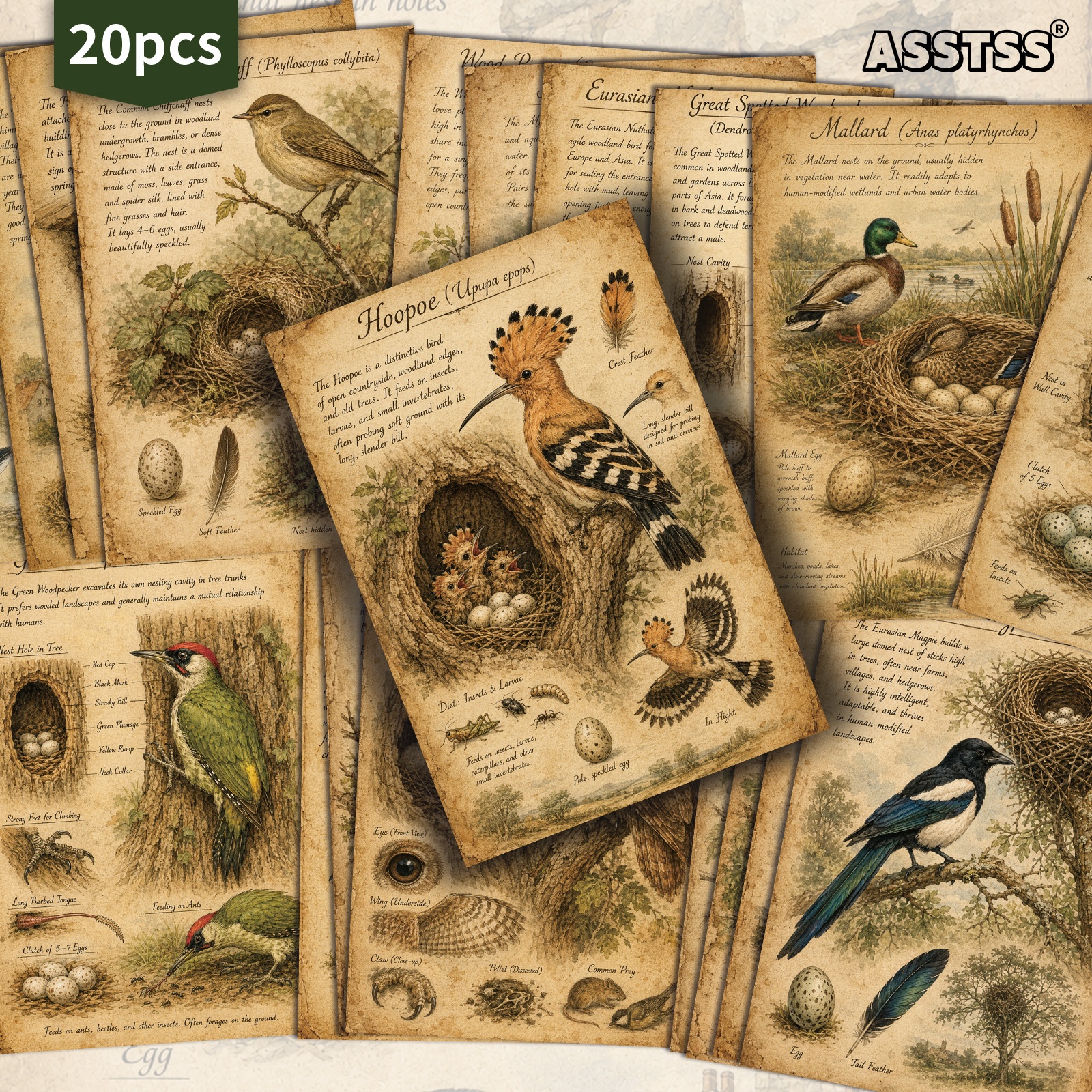 TEMU Paquete de 20 tarjetas postales ASSTSS Vintage de catálogo de aves - 4X6 pulgadas, suministros retro para diario de basura, ilustraciones