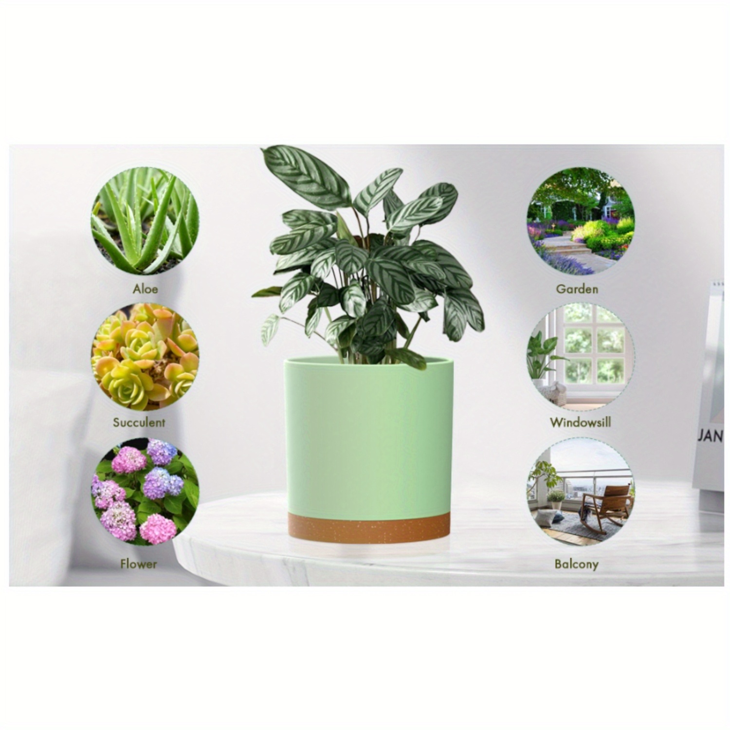 günstige blumenkästen mit halterung Blumenkastenhalterung mit Haltebügel f. Fensterbänke Edelstahl ohne Bohren main image 0