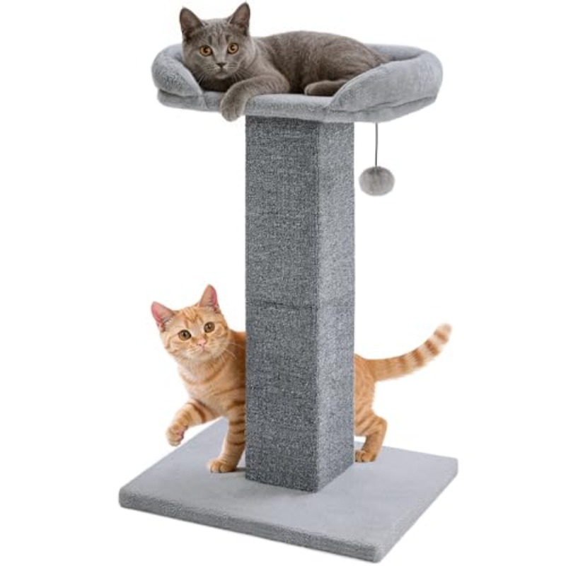 32 inch tall cat scratching post with bed toy suitable for large cats kittens wide base carpeted carpet square scratch tower with carpeted bedding furniture for indoor climbing scratching and resting space saving