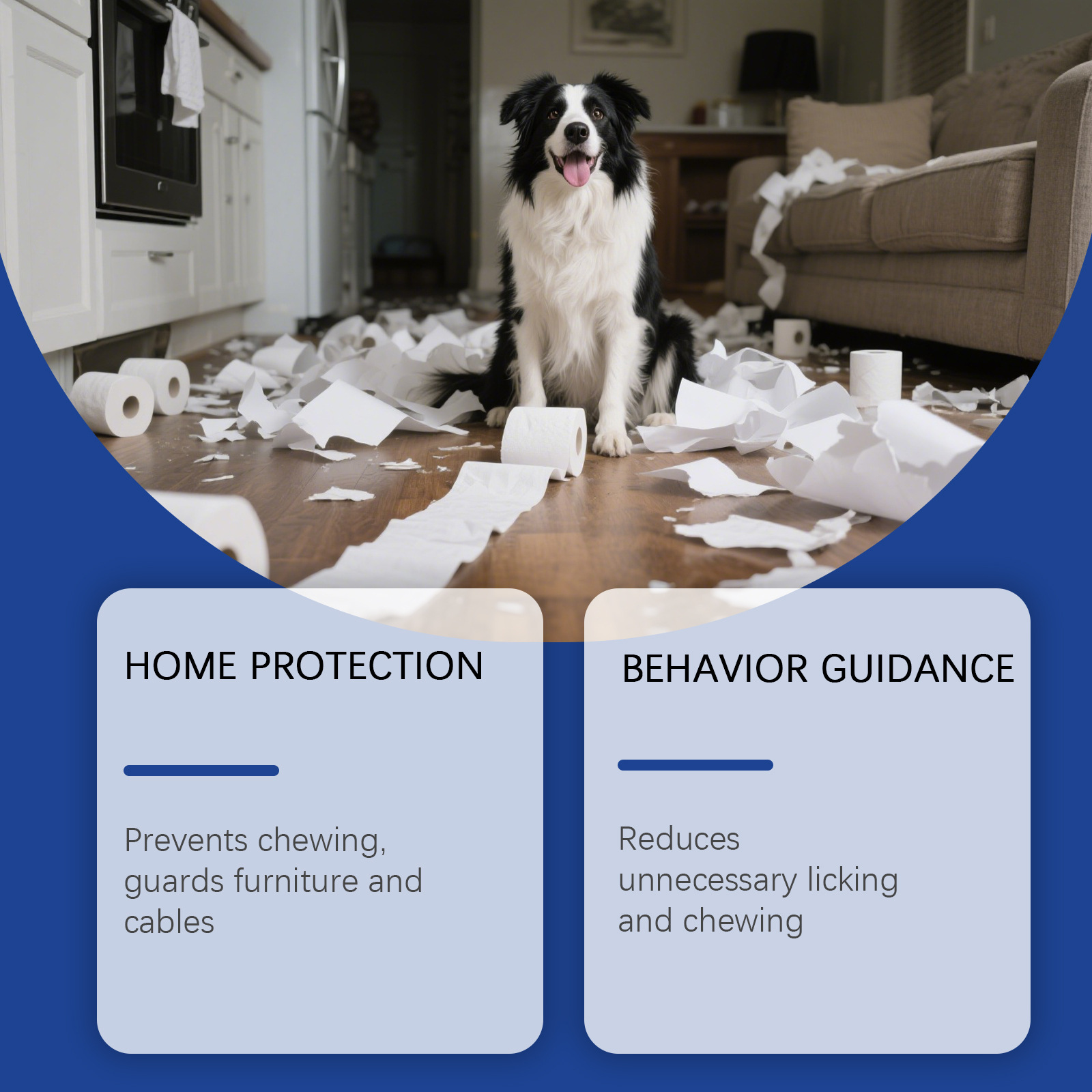 Eeljoy Bitter Spray Designed for Dogs And Puppies - a Training Aid to Discourage Chewing on Furniture, Shoes, Clothing, And More. It Promotes Long-Lasting Positive Habits with Five Times The Bitterness Strength