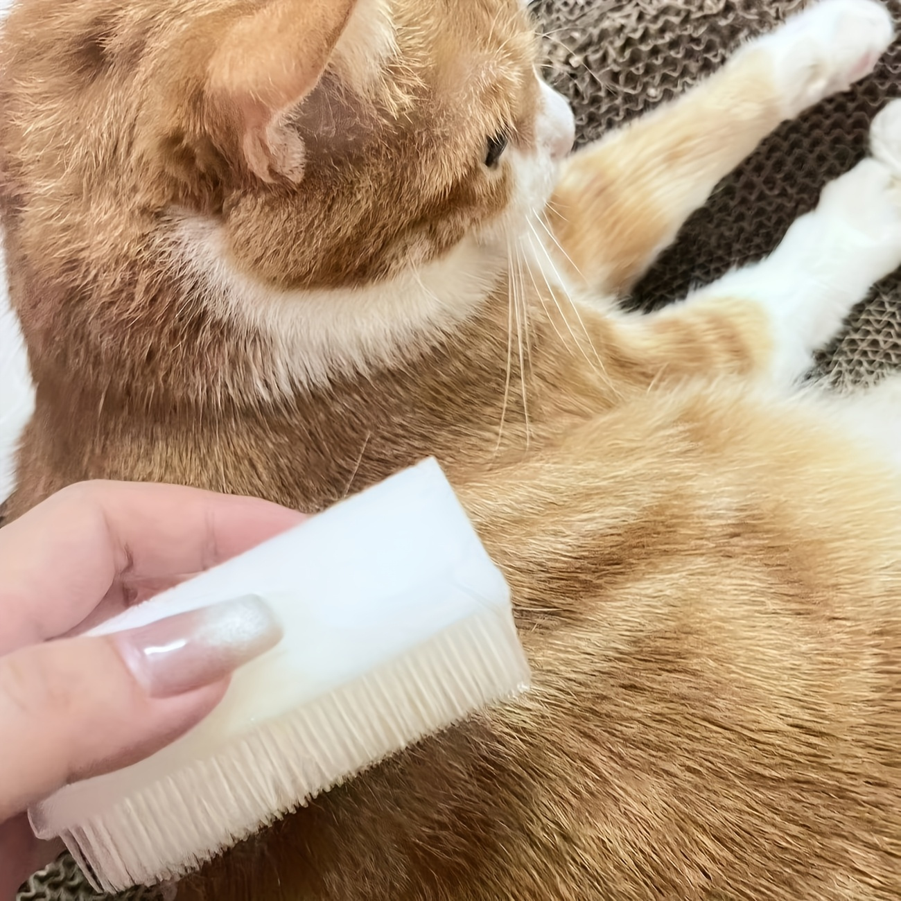 1pc Soft Cat Tongue-shaped Brush – Mimics a Mother Cat' Tongue, Providing a Comfortable Grooming Tool for Pets. It Gently Strokes the Cat' Coat and Is Made of Non-electric Plastic, Making It Ideal for Styling Purposes
