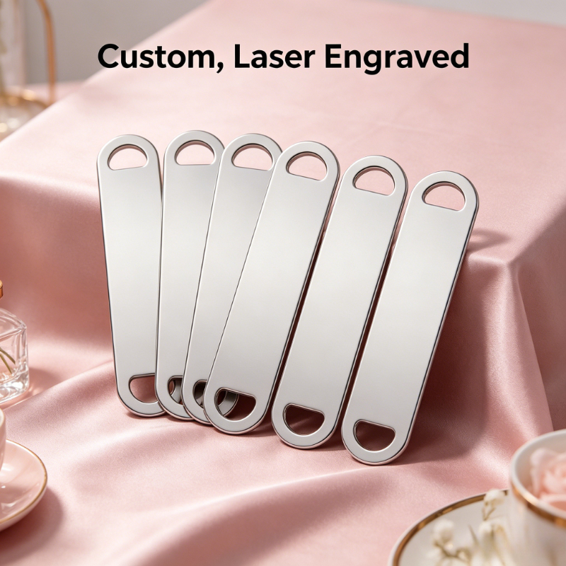 TEMU 10 pezzi di targhette in metallo personalizzate con incisione laser, targhette ID con in acciaio inossidabile a foro