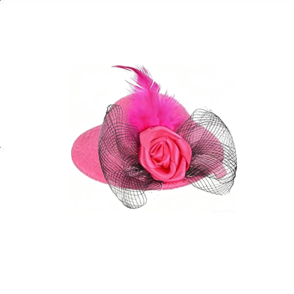 TEMU Chapeau pour animaux de compagnie, petit harnais pour animaux, peigne pour animaux, accessoire pour cheveux, chapeau, corde élastique, petit
