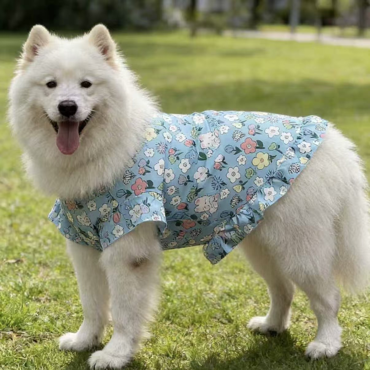 dog dress for large dogs sold on Temu United States dog dress for large dogs sold on Temu United States