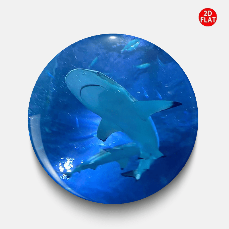 TEMU 2d Flat, (2d Flat) Shark Classic Fashion Brooch/pin/badge, With Jeans, Clothes, Backpacks, And Hats, Suitable For Collecting Small Accessories,