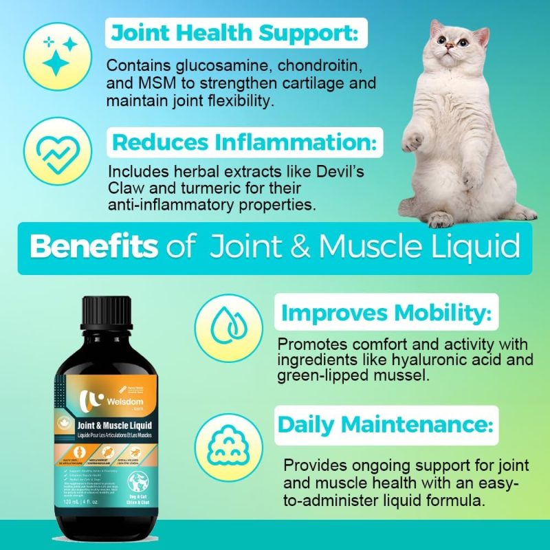 Pets Joint Muscle - 120Ml Comprehensive Joint Support Cats Dogs Natural Inflammatory Mobility Enhancement Easy-To-Administer Supplement - Image 5