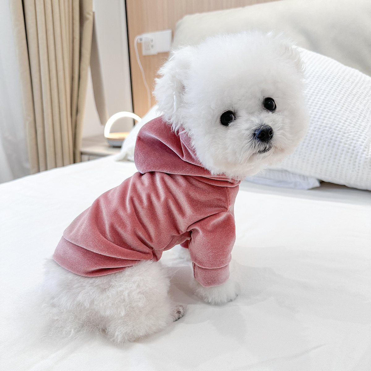Soft Plush Hooded Sweatshirt for Small Dogs Cozy Fall Outfit for  Pomeranian Poodle Shih Tzu, Easy Pullover Design, Warm Stylish Pet Ap