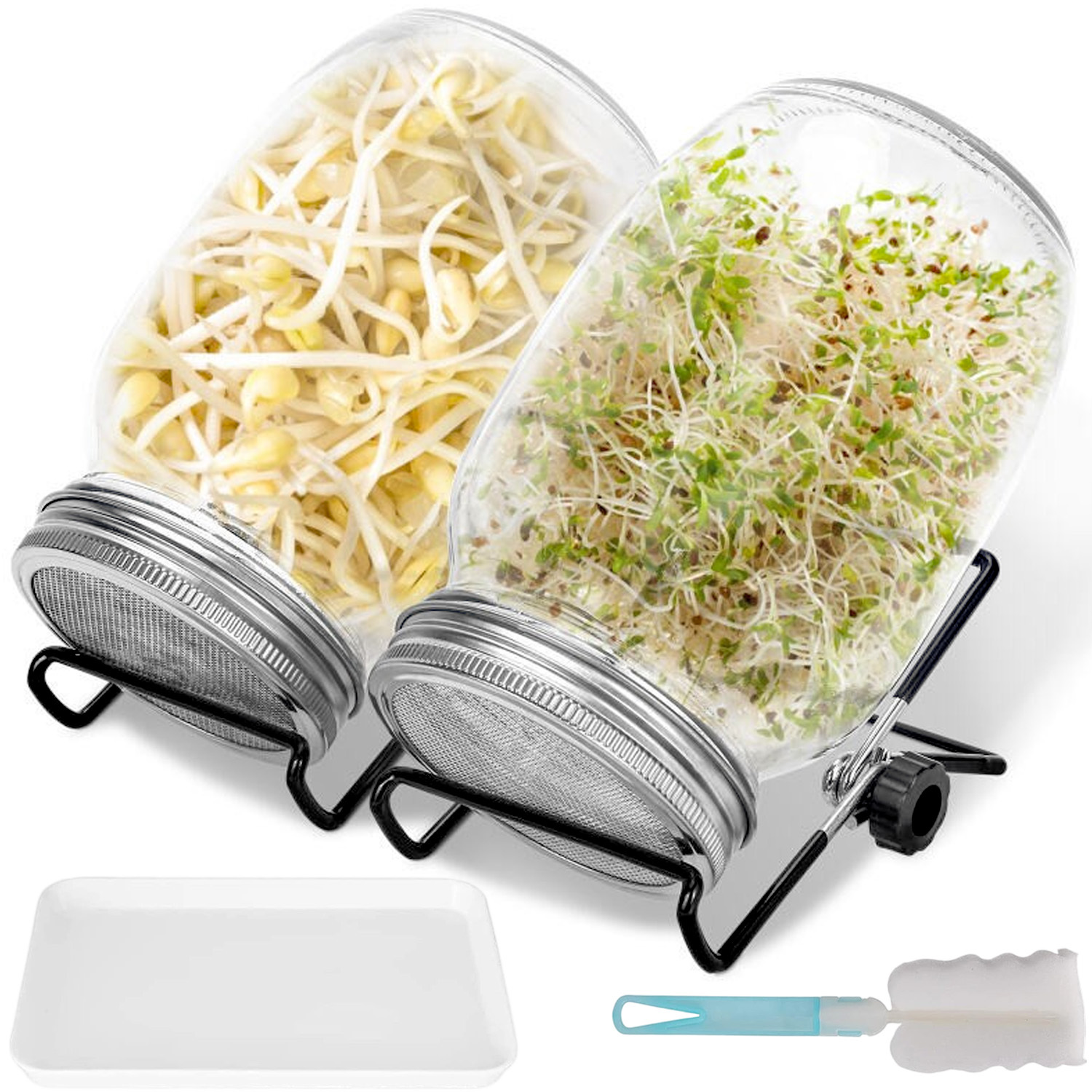 Image of 950ml Sprouting Jar, 2pcs Sprouting Jar Set, Stainless Steel Stand, Sprouting Glass For Sprout Growing, Tools