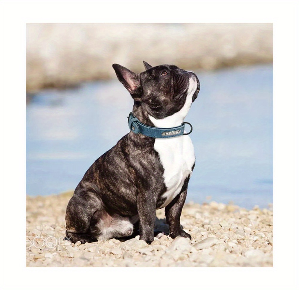 Dog Collar Dog Losing Fur Around Neck Custom Engraved Matte Anti