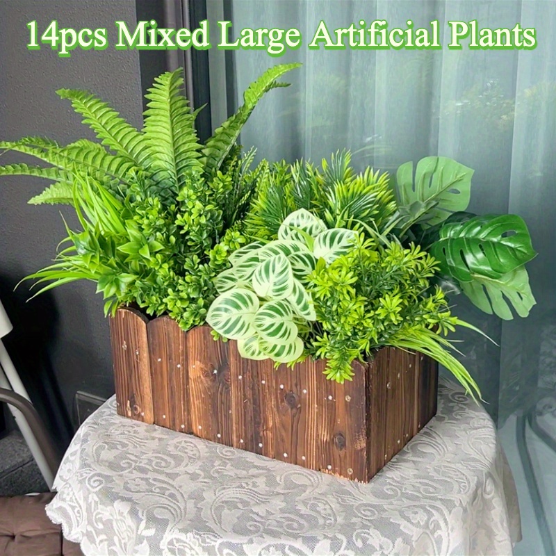 fiddle leaf figs The Sill Fiddle Leaf Fig Houseplants, Medium in Cream