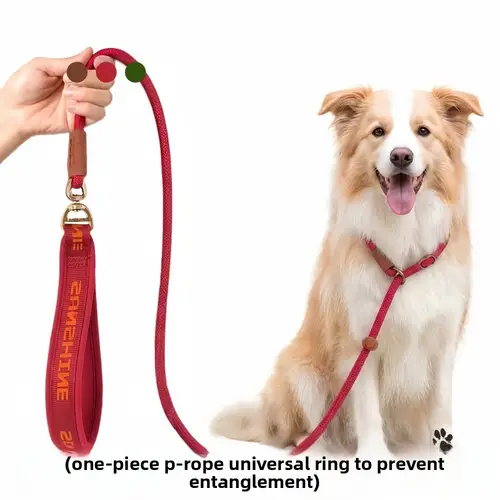 Anti Rust Chain Rope dog collars and leads - United Kingdom
