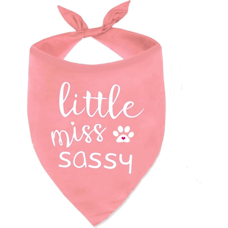 TEMU 1pc 24.8×11 Inch Sassy Dog Bandana For, Pink Scarf Bibs Handkerchief For Puppies, Dog Party Additions