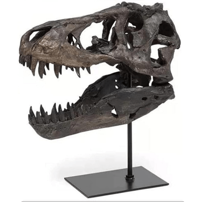 Modern Rex Model Sculpture, High-quality Casting - Dinosaur Bone Model Desk Decoration For Desk, Bookshelf, Living Room, Office, Study Room, Ideal For Display And Gift-