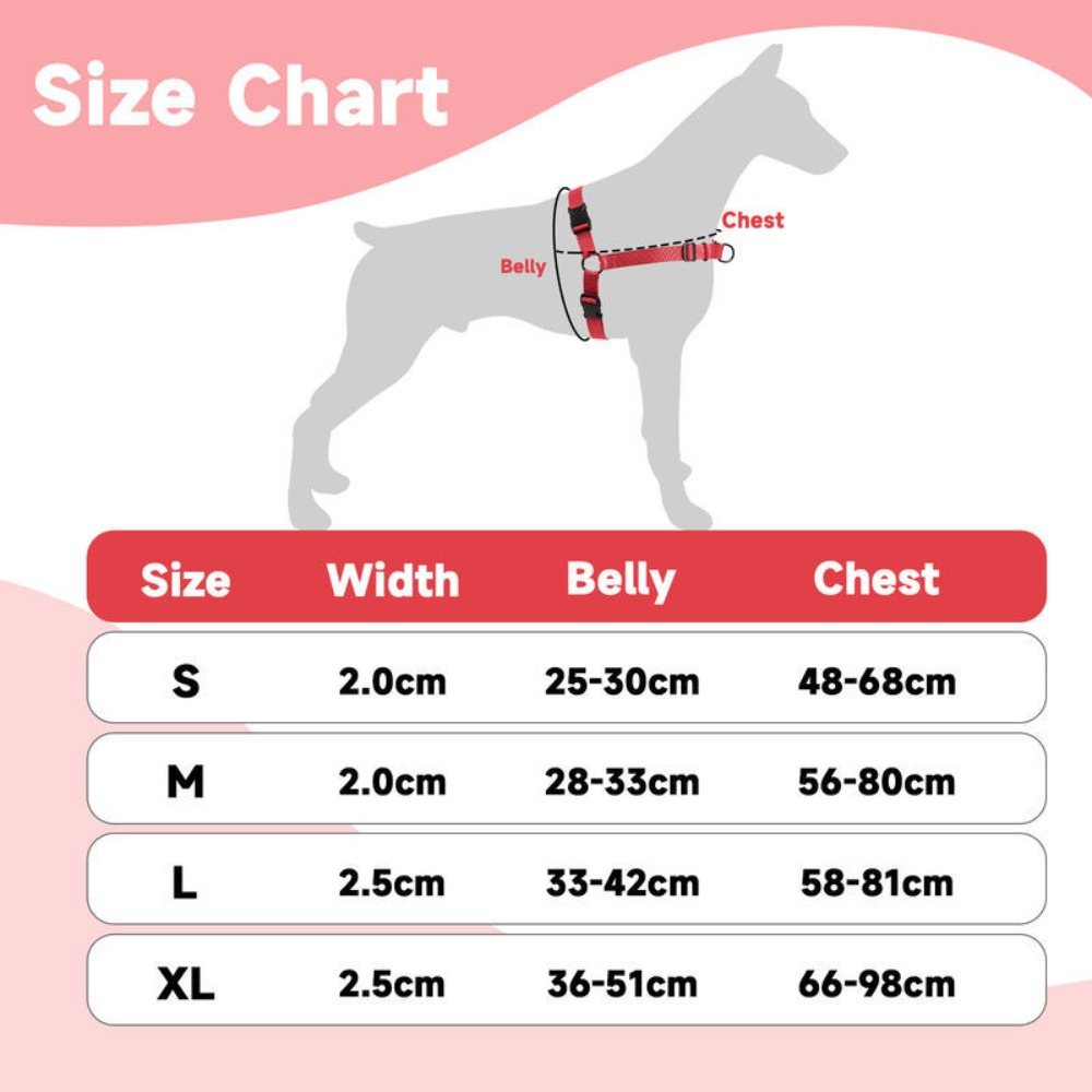 Customized Bone-Shaped Name Tag with Adjustable Nylon Leash