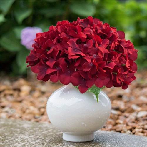 20pcs dark red artificial hydrangea flowers bulk 6 7 realistic like petals removable stems for wedding arch valentine s day decor arrangements durable plastic hand unfading flower decorations event styling elegant unfading petals bridal decor