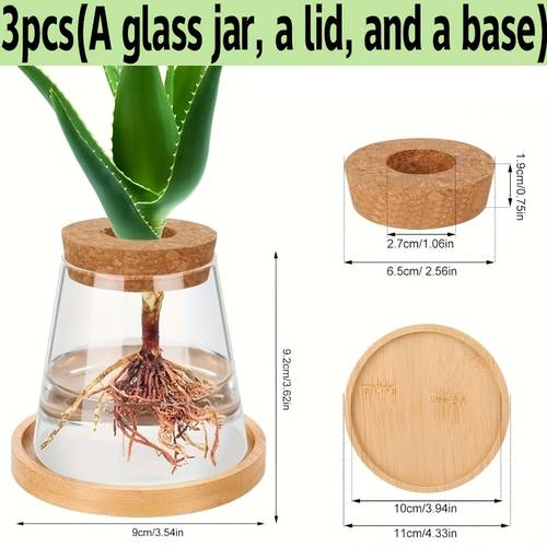 3pcs set transparent glass jar with lid and base plant propagation pot glass vase with lid and wooden stand glass container for plant propagation suitable for plant hydroponic gardening home and office decoration