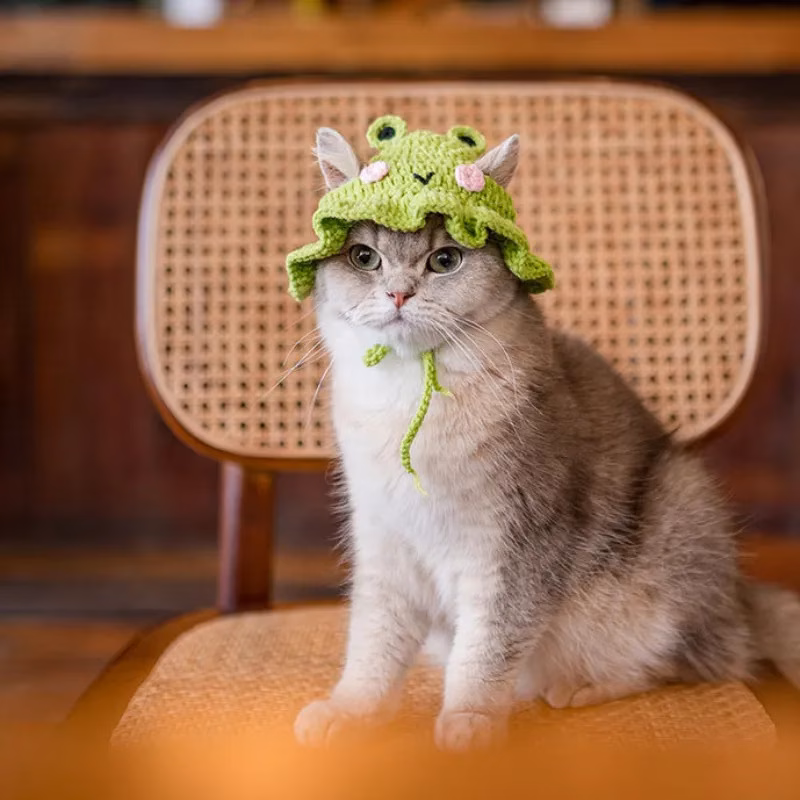 hat adjustable frog strawberry style cat hat suitable for cat and dog birthday hats holidays travel and photography soft and floral decoration breathable and comfortable headwear Product details 12
