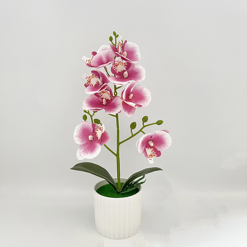 knstliche orchideen topfpflanzen mehrfarbige phalaenopsis - Temu Austria