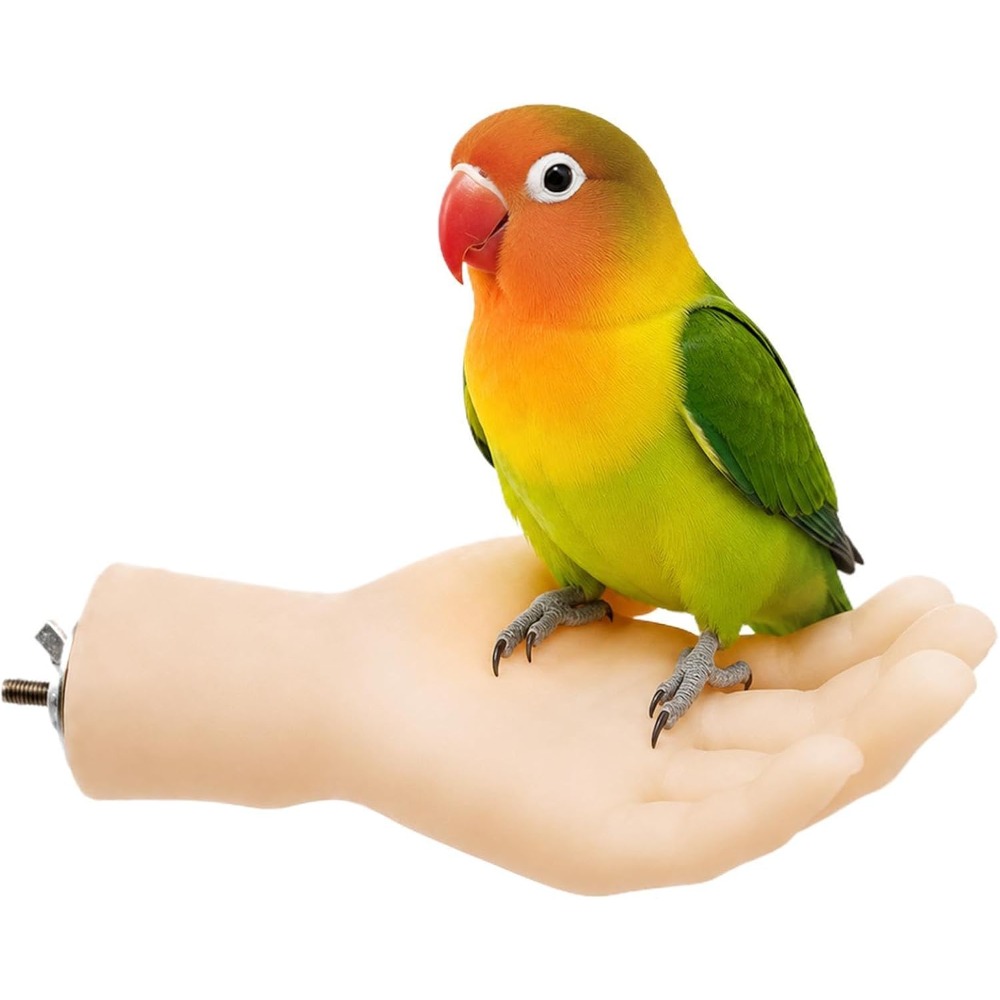 TEMU Parrot Perch, Simulation Palm-shaped Bird Stand, Funny Non-slip Interactive | Training, Pet Birds Gradually To And Complete Desensitization