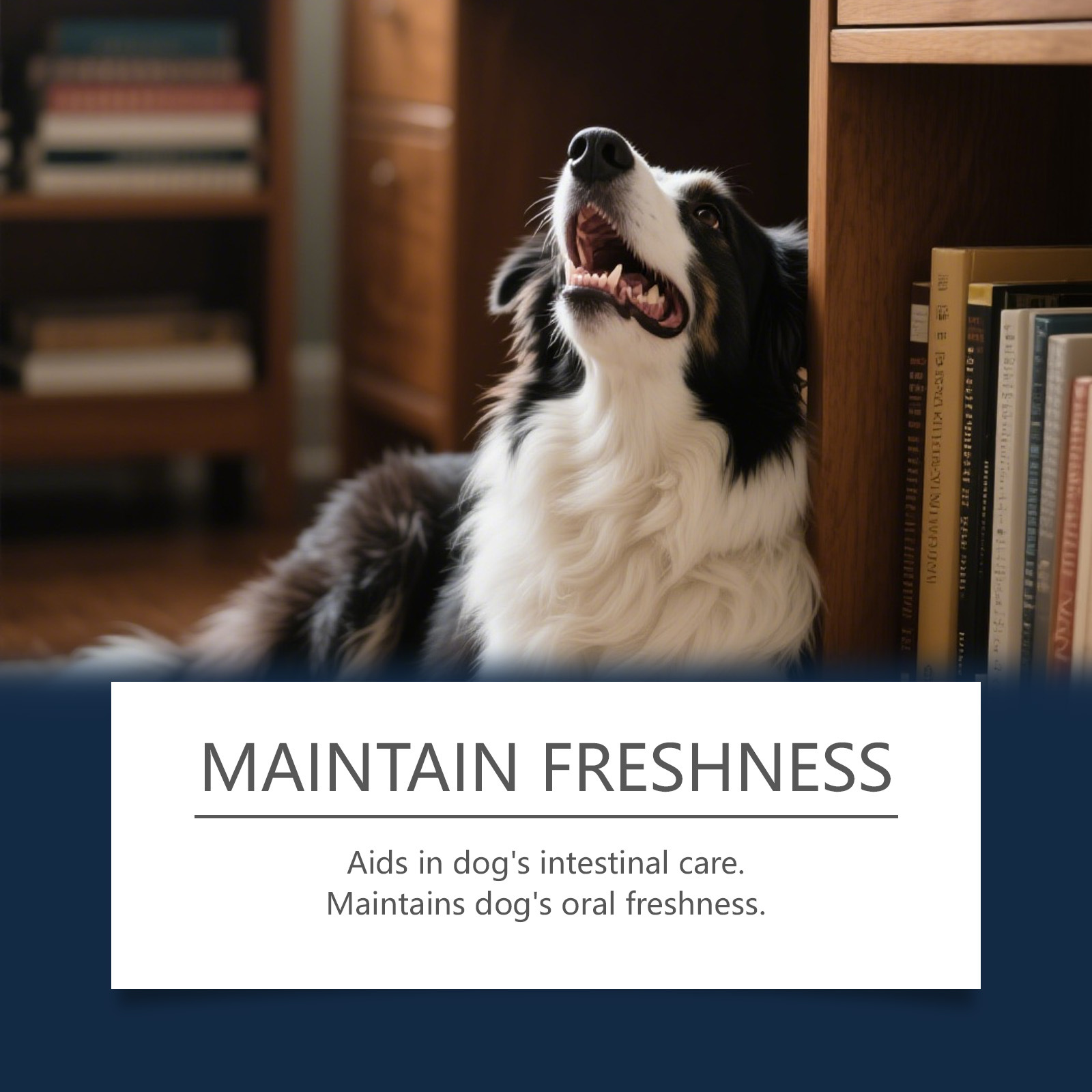 Kriath Fresh Breath Dental Care Water Additive, 100ML/3.38FL.OZ - No Brushing Required, Gentle Formula for Dogs & Cats, Fight Tartar, Freshen Bad Breath, Clean Teeth, Professional Oral Care Essential for Healthy Gums & Fresh Mouth in Pets