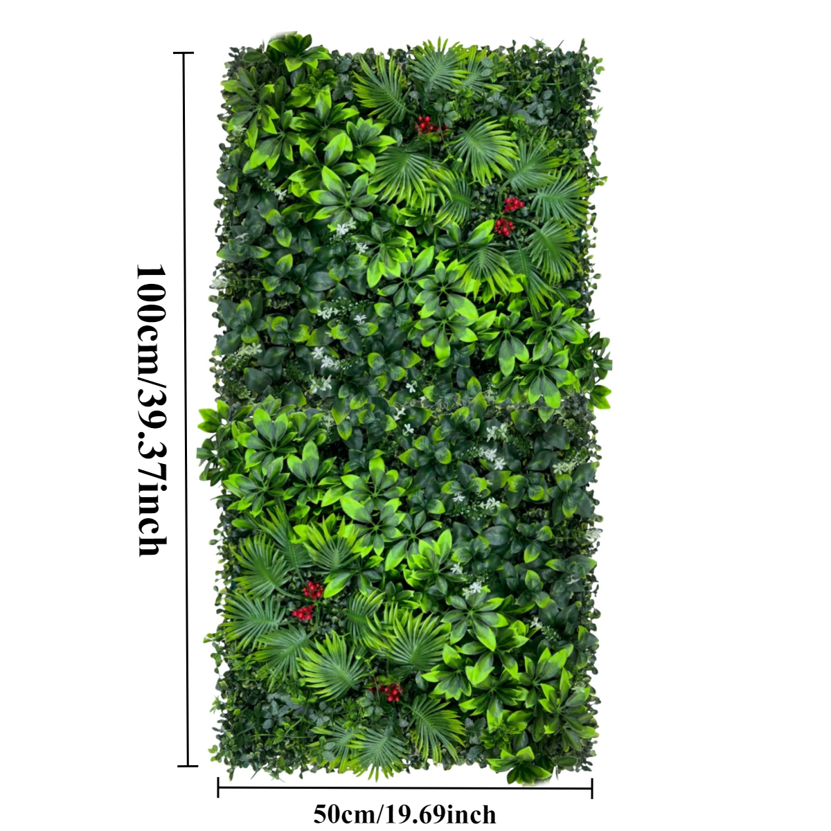 kaktus mit ohren Opuntia rubescens Kaktus 25–30 cm – Feigenkaktus Ohrenkaktus winterhar –  Blumen-Senf® main image 1