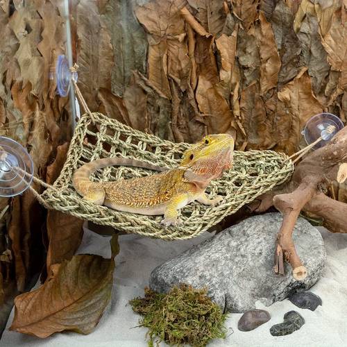 11pcs reptile hammock chair beard dragon tank accessories hanging reptile lounger artificial climbing plant glass container hanging leaves tank accessories turtle decorations