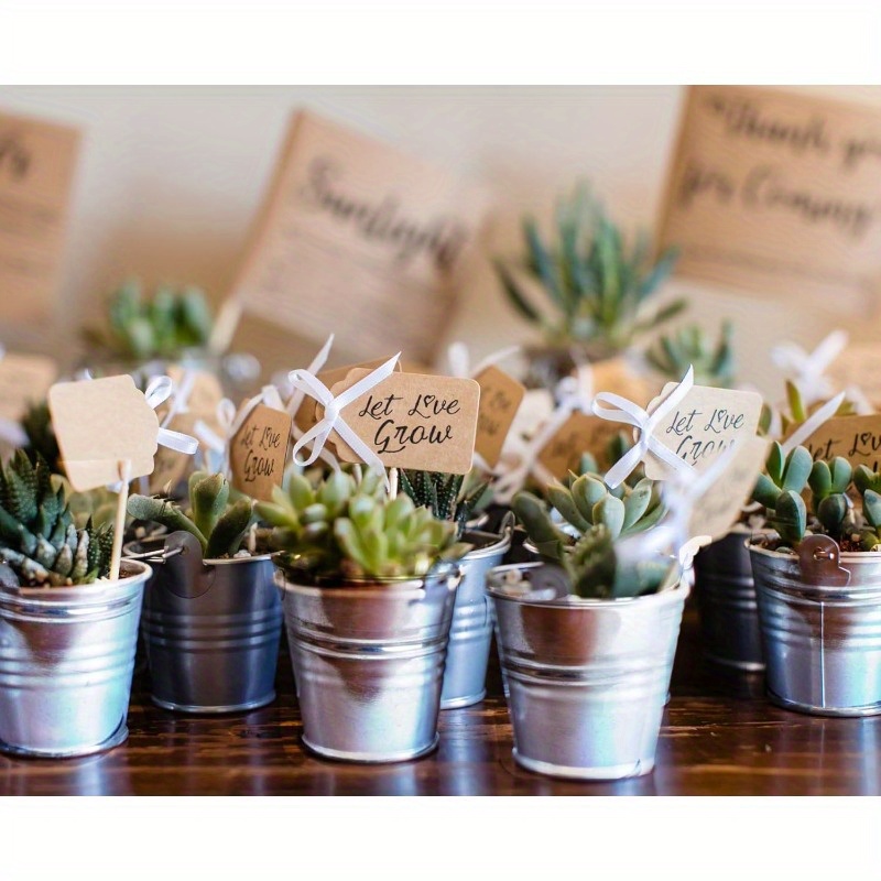 garden seeds for sale Seed Collection Herb Garden